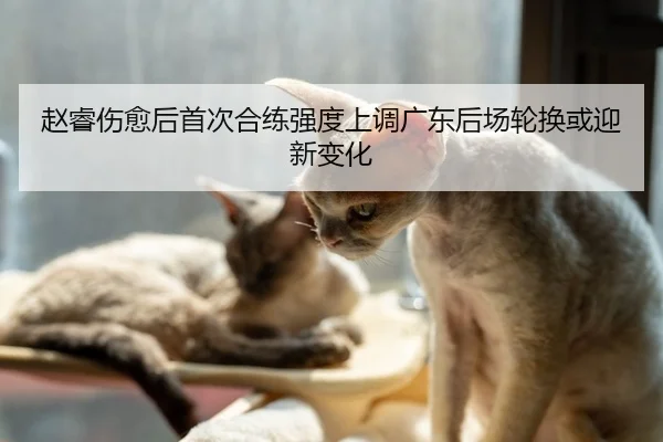 赵睿伤愈后首次合练强度上调广东后场轮换或迎新变化